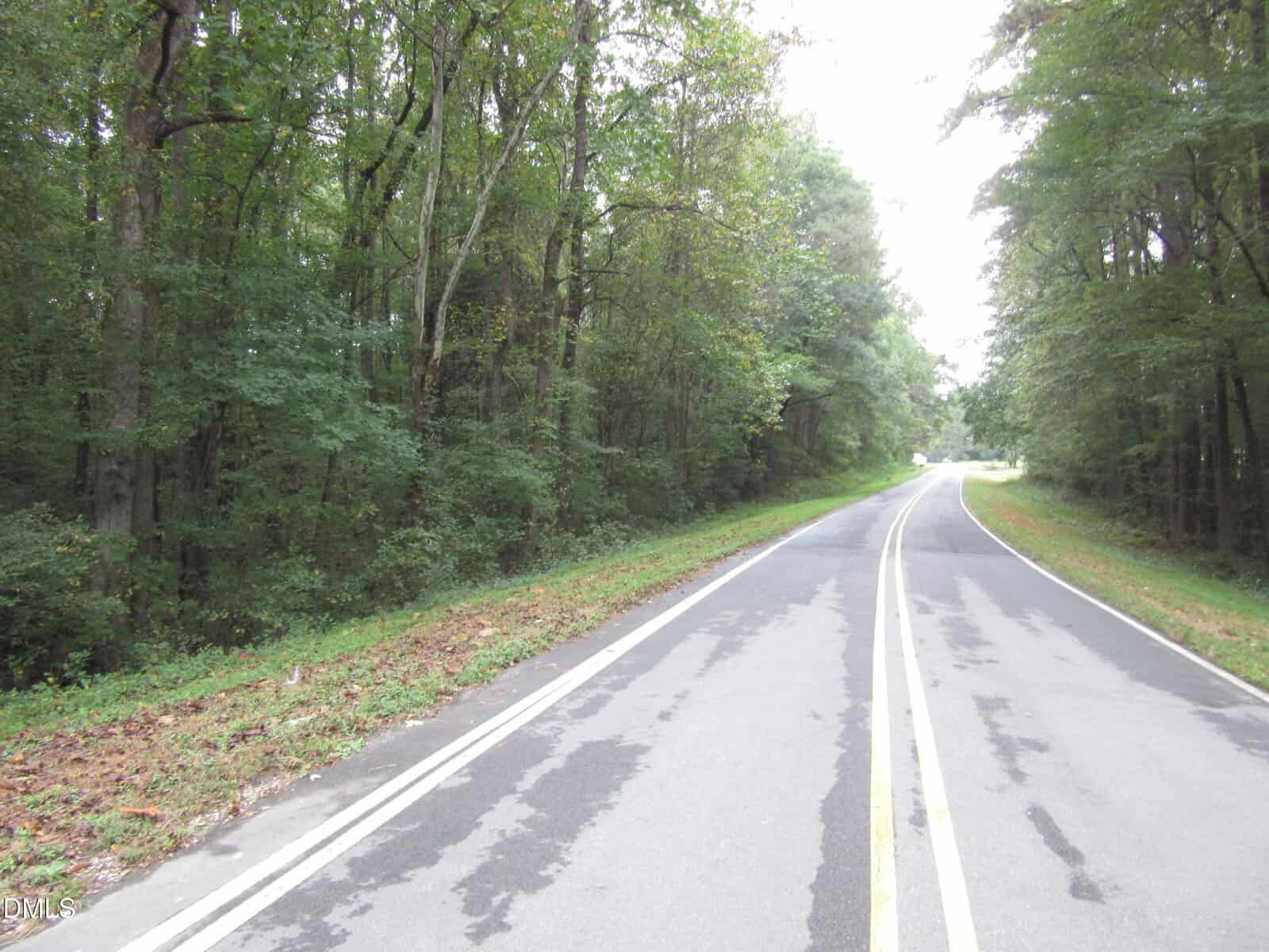 A two-lane road with faded yellow lines curves through a densely wooded area. Trees with green foliage line both sides of the road. The sky is overcast and the pavement appears slightly wet.