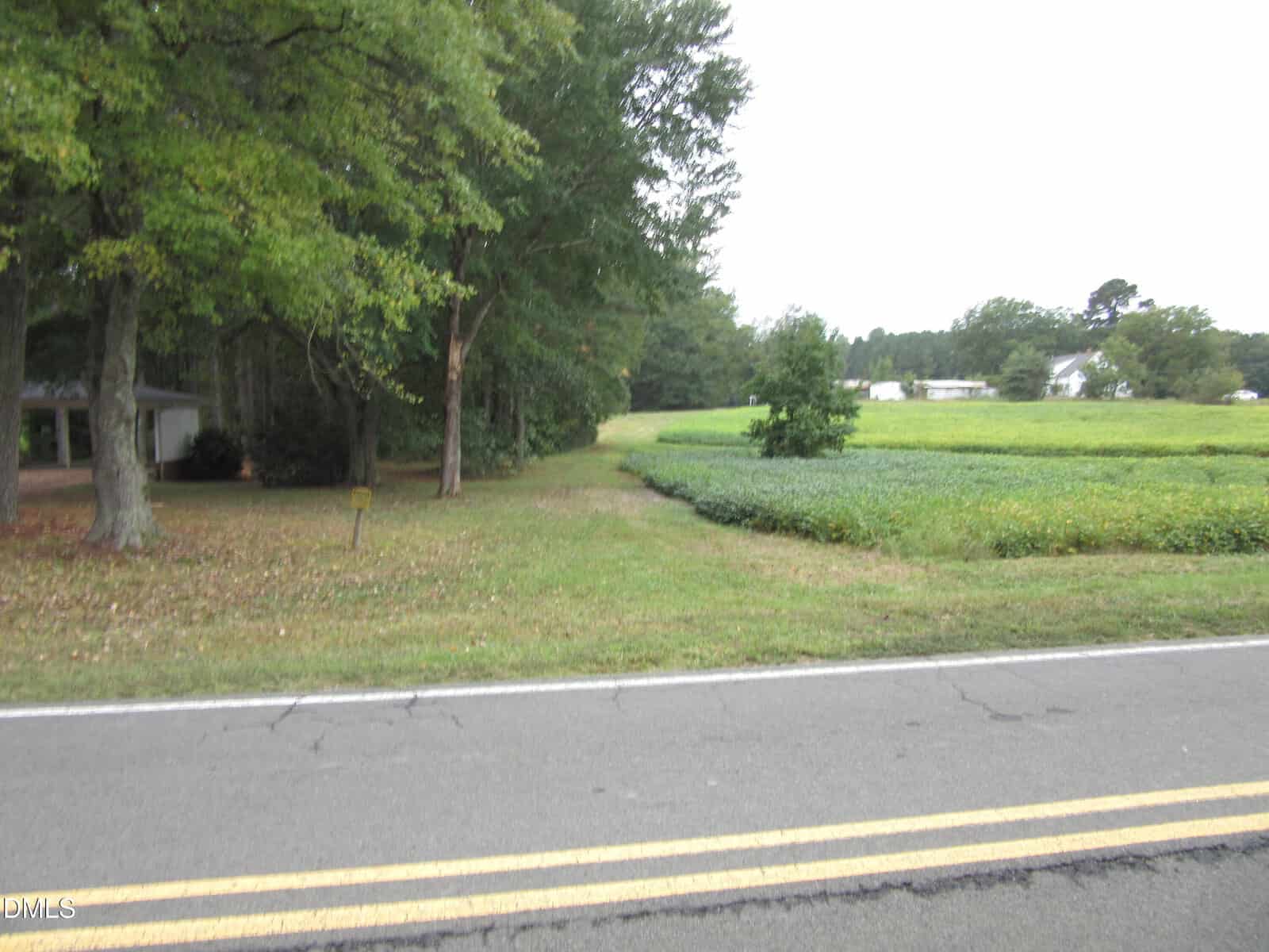 A rural road with double yellow lines runs in front of a grassy driveway leading to a house partly hidden by trees; there is a green field on the right and more trees in the background under an overcast sky.