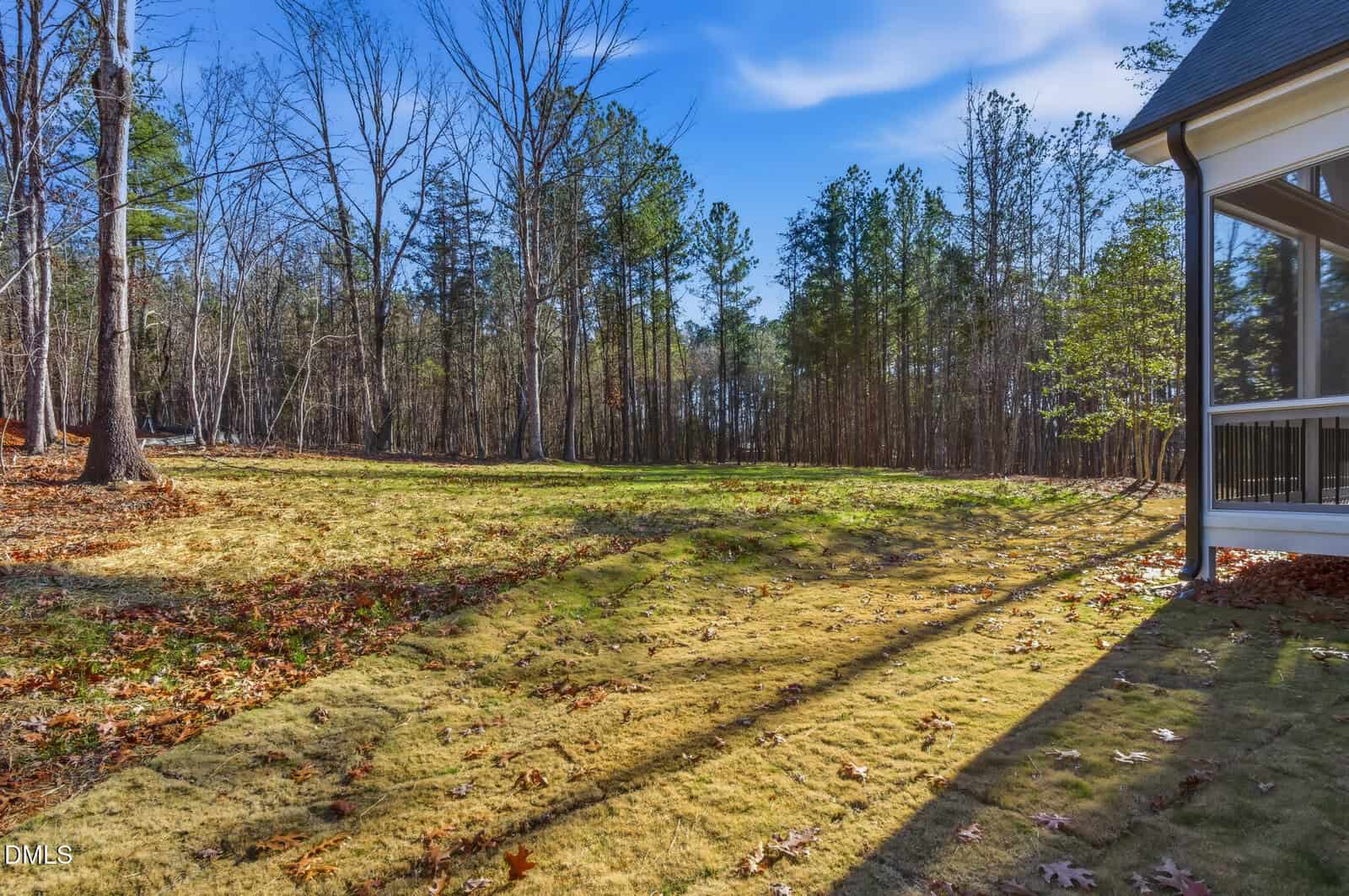 A grassy backyard bordered by trees, with a screened porch on the right and shadows cast across the lawn on a sunny day.