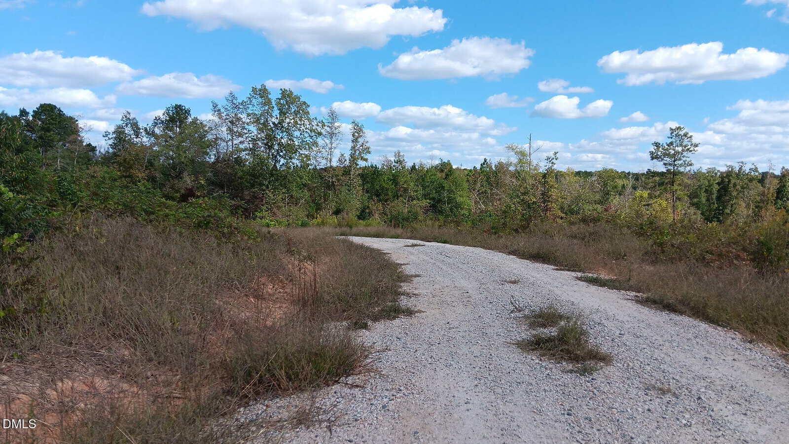 A gravel road curves through a lightly wooded area with dry grass and scattered shrubs under a bright blue sky with fluffy white clouds.