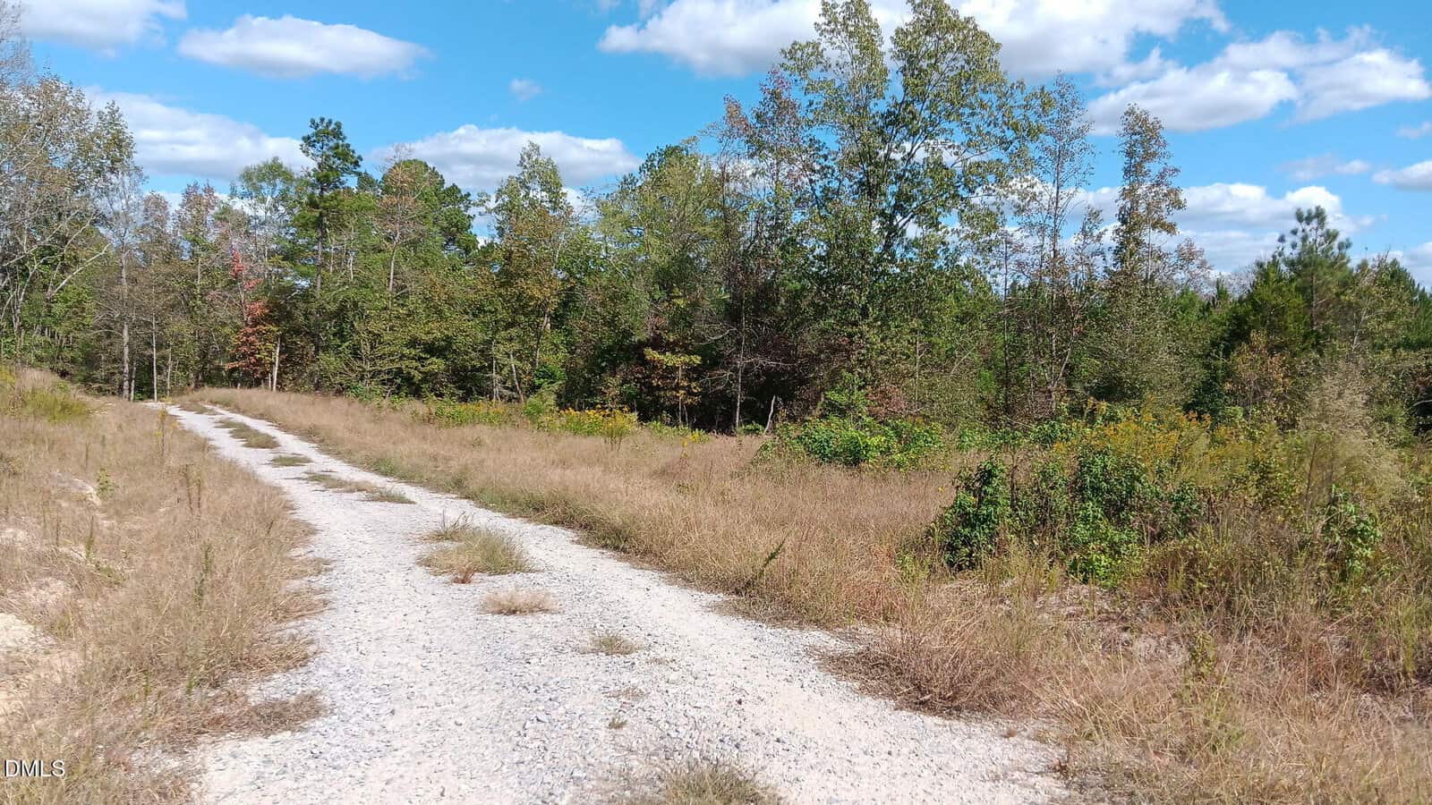 A gravel road with trees and blue sky.