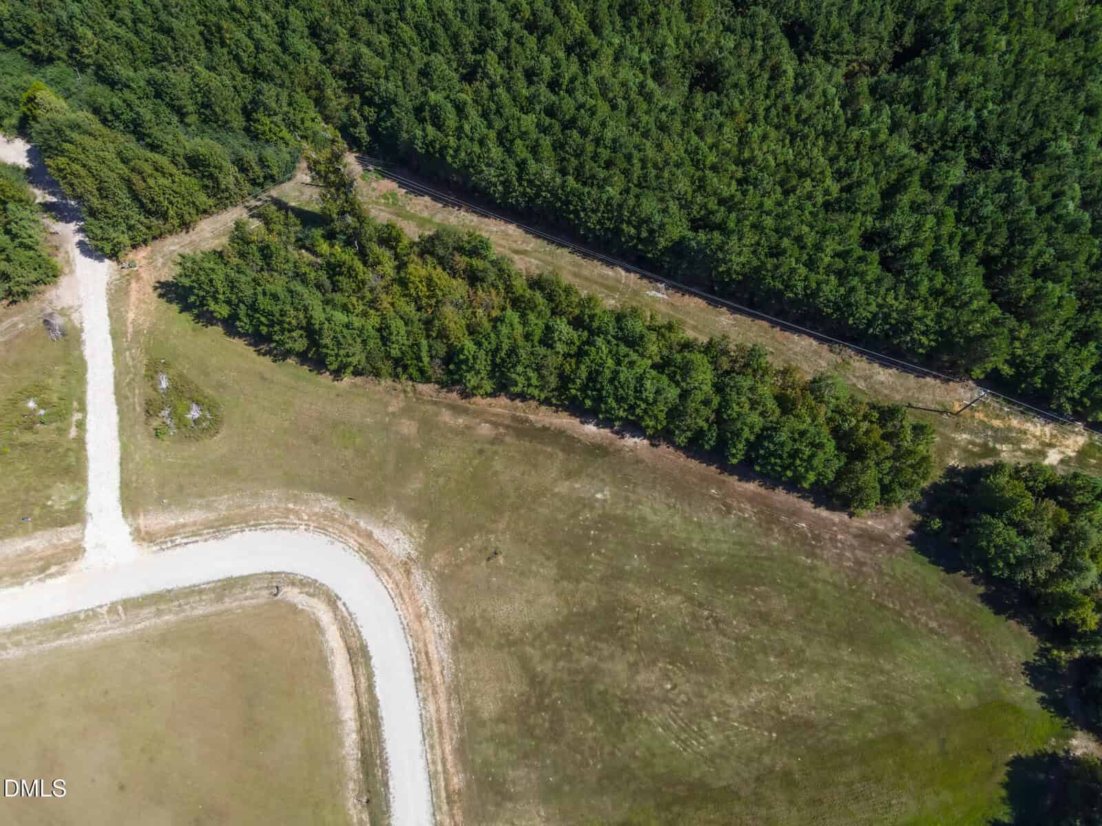 Aerial view of a curved, paved road bordering an open grassy area, with dense green forest along the upper half of the image. A dirt path runs parallel to the woods.