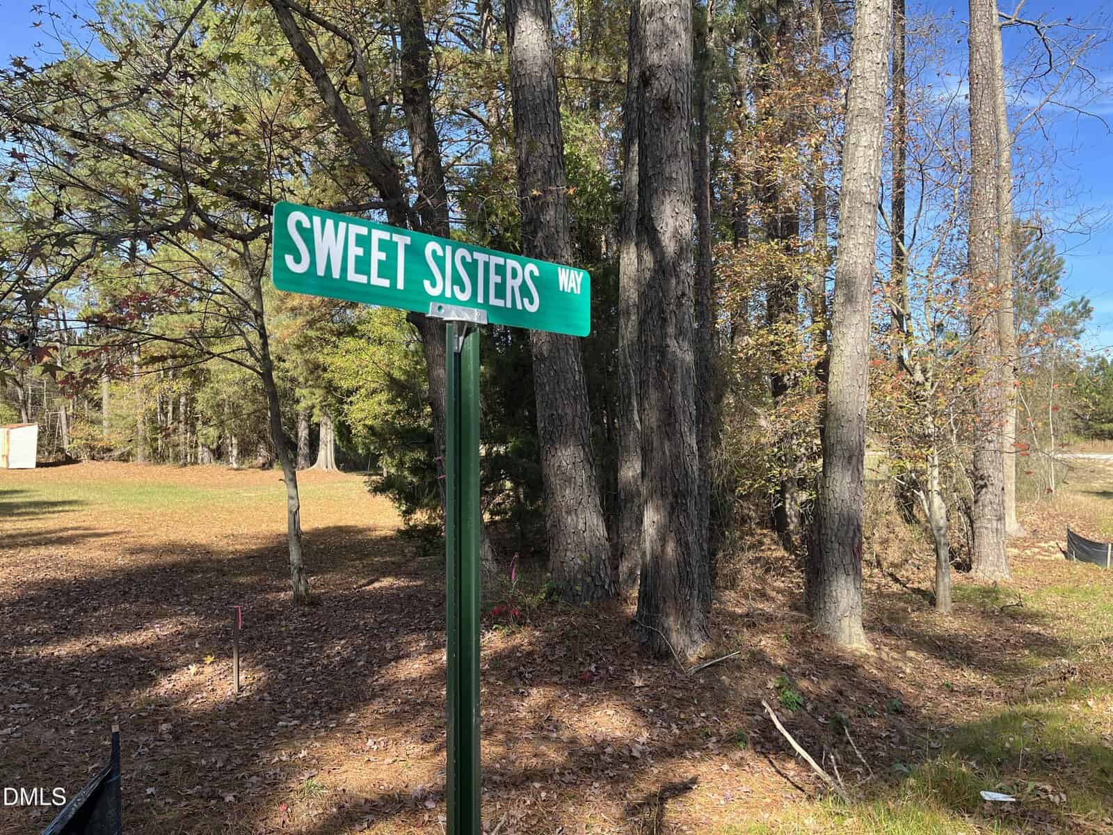A green street sign reading "Sweet Sisters Way" stands next to a wooded area with tall trees and fallen leaves on the ground under a clear blue sky.
