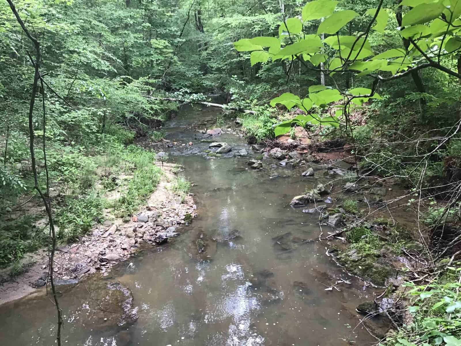 A shallow creek flows through a lush, green forest. The water is clear with visible rocks and pebbles along the banks. Trees with dense foliage surround the creek, creating a peaceful, natural scene.