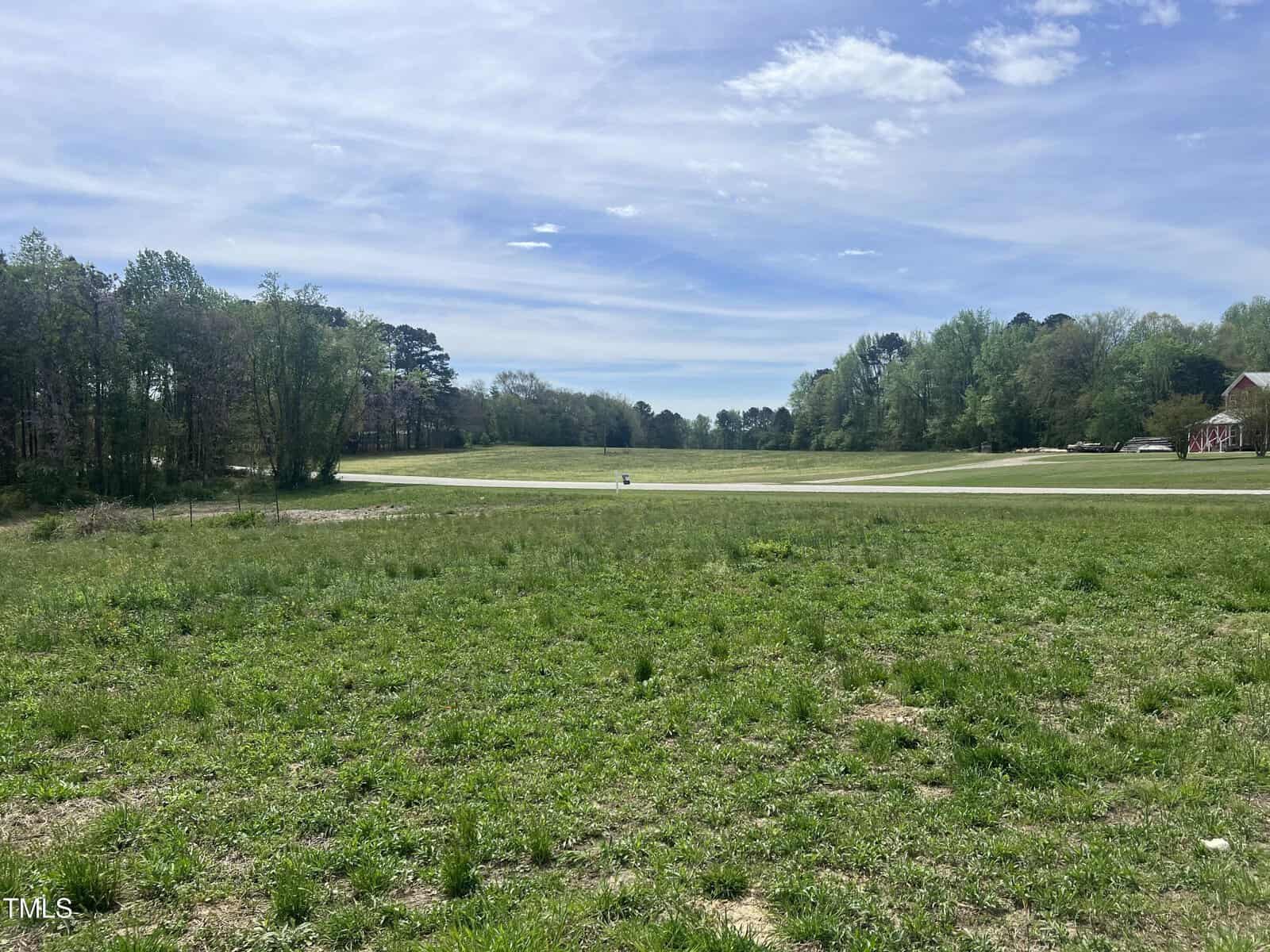 A large, grassy field with scattered trees in the background under a blue sky with light clouds. A curved paved path runs through the middle, and houses are partially visible on the far right.