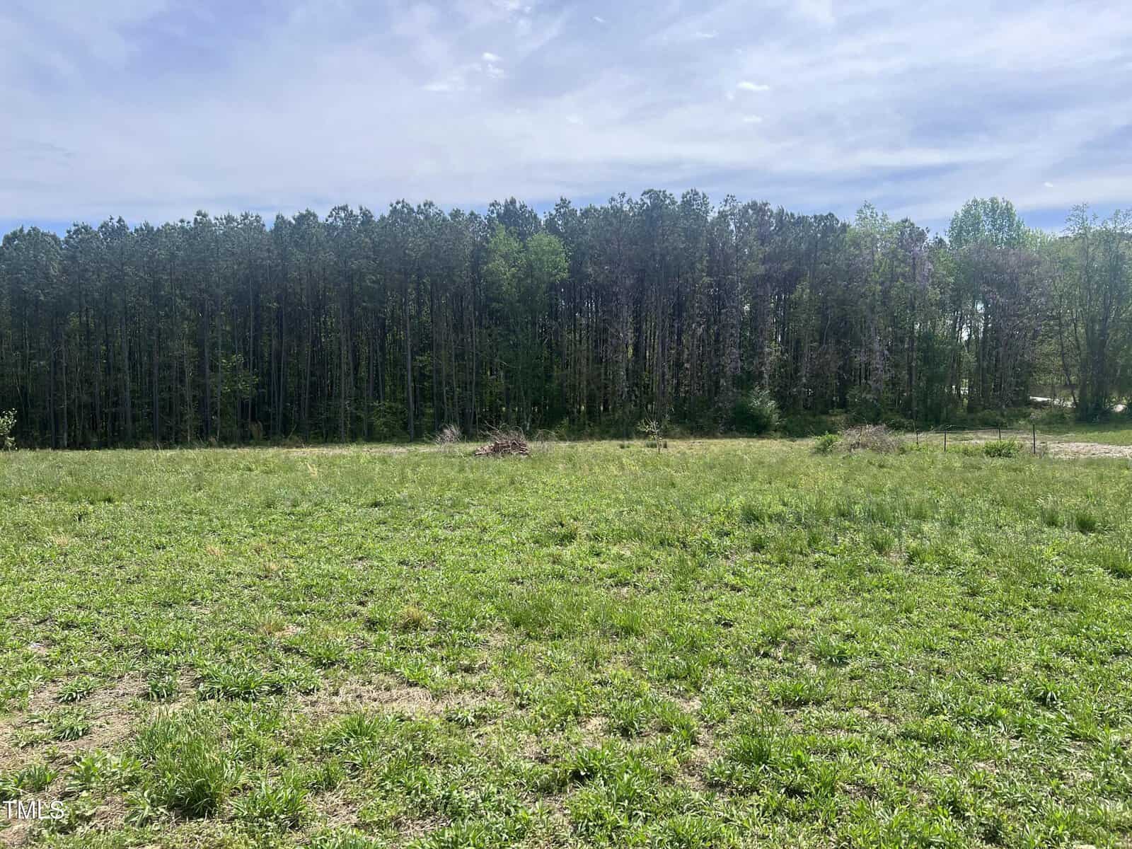 A grassy field with patches of dirt in the foreground and a dense forest of tall trees in the background under a partly cloudy sky.