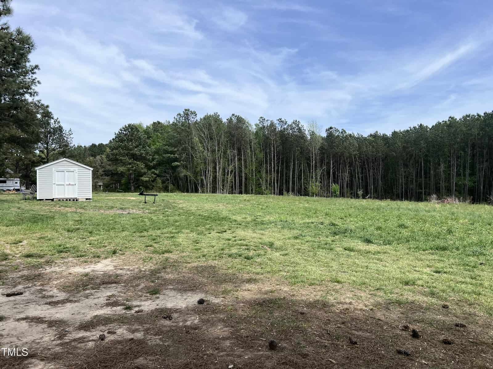A grassy open field with scattered patches of dirt, a small white shed on the left, some playground equipment nearby, and a background of tall trees under a blue sky with light clouds.