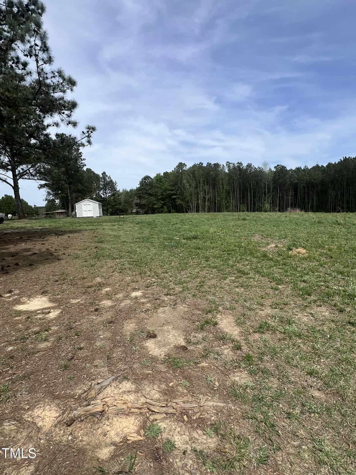A grassy open field with patches of bare earth, bordered by tall trees in the background. A white shed stands near the left side under a partly cloudy blue sky.