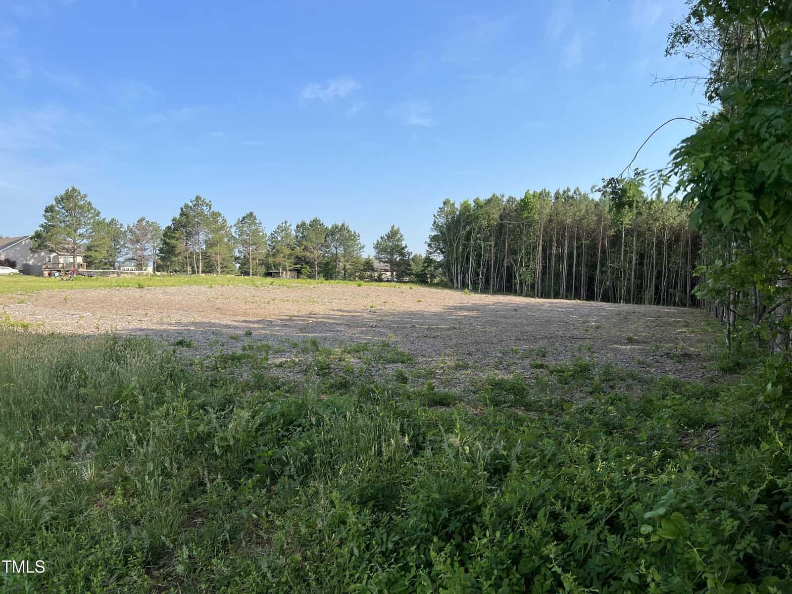 A cleared, open field bordered by tall trees under a blue sky, with green grass and vegetation in the foreground. Houses and more trees are visible in the background to the left.