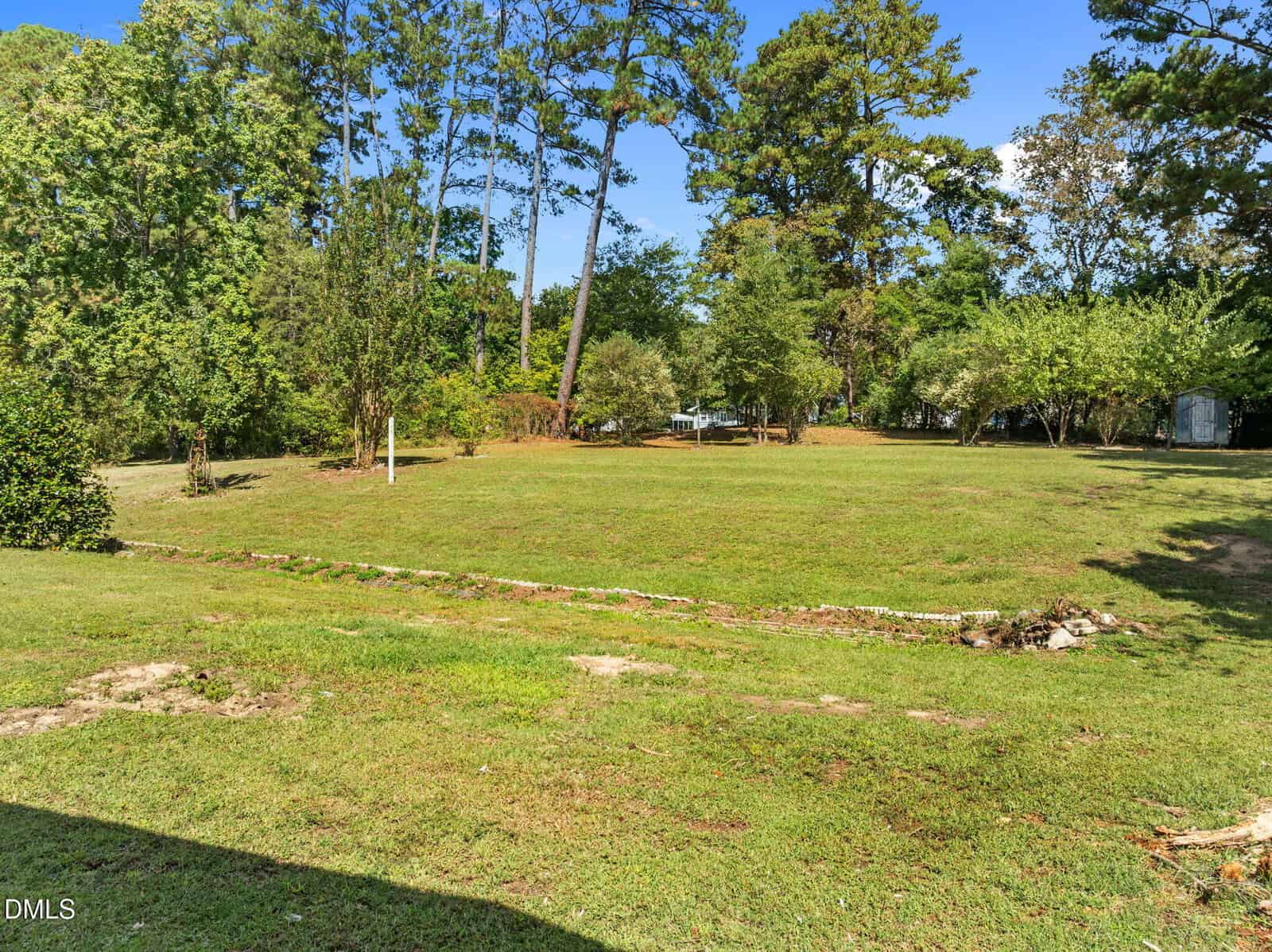 A large grassy yard with scattered trees and shrubs, bordered by taller trees in the background under a clear blue sky. A narrow stone border crosses the lawn.