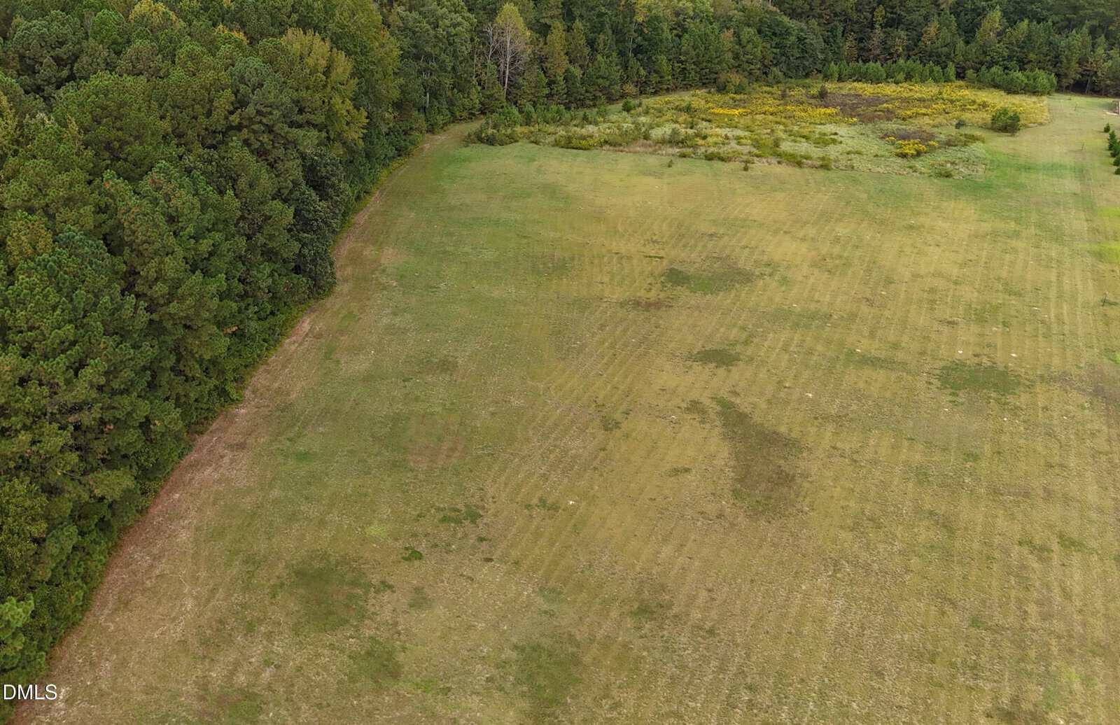 Aerial view of an open grassy field bordered by dense trees on the left and top edges, with patches of yellow wildflowers visible near the upper right corner.