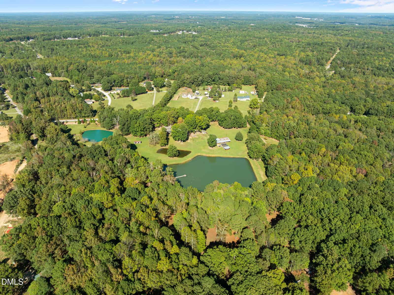 Aerial view of a rural landscape with a large pond surrounded by trees, open grassy areas, several houses, and outbuildings. The scene is lush and green, with dense forest extending in the distance under a clear sky.