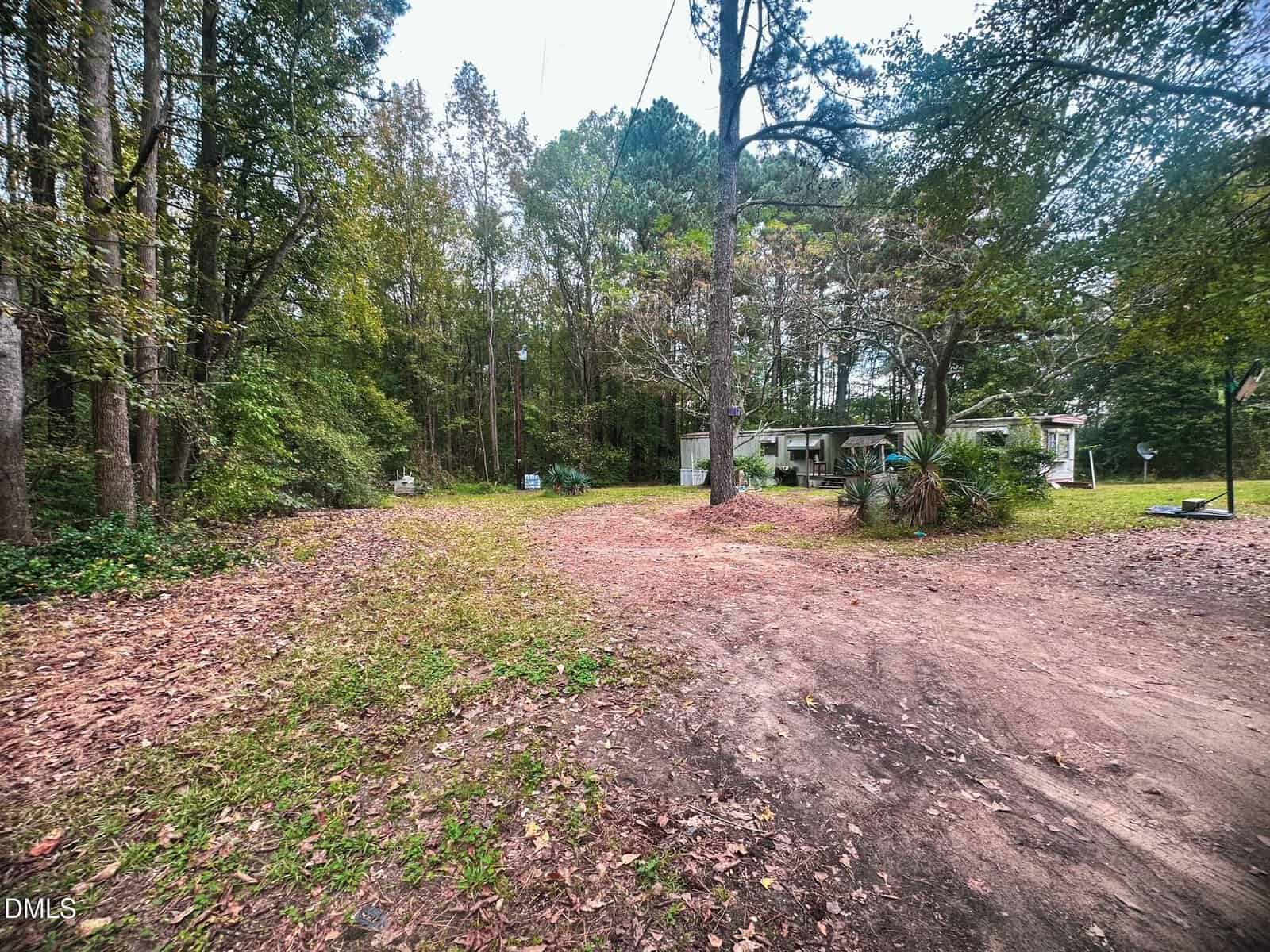 A dirt driveway leads to a white house partially obscured by trees at 45 Bridges Way in Zebulon. Fallen leaves cover the ground. The yard is surrounded by tall pine and deciduous trees, with some scattered plants near the house.