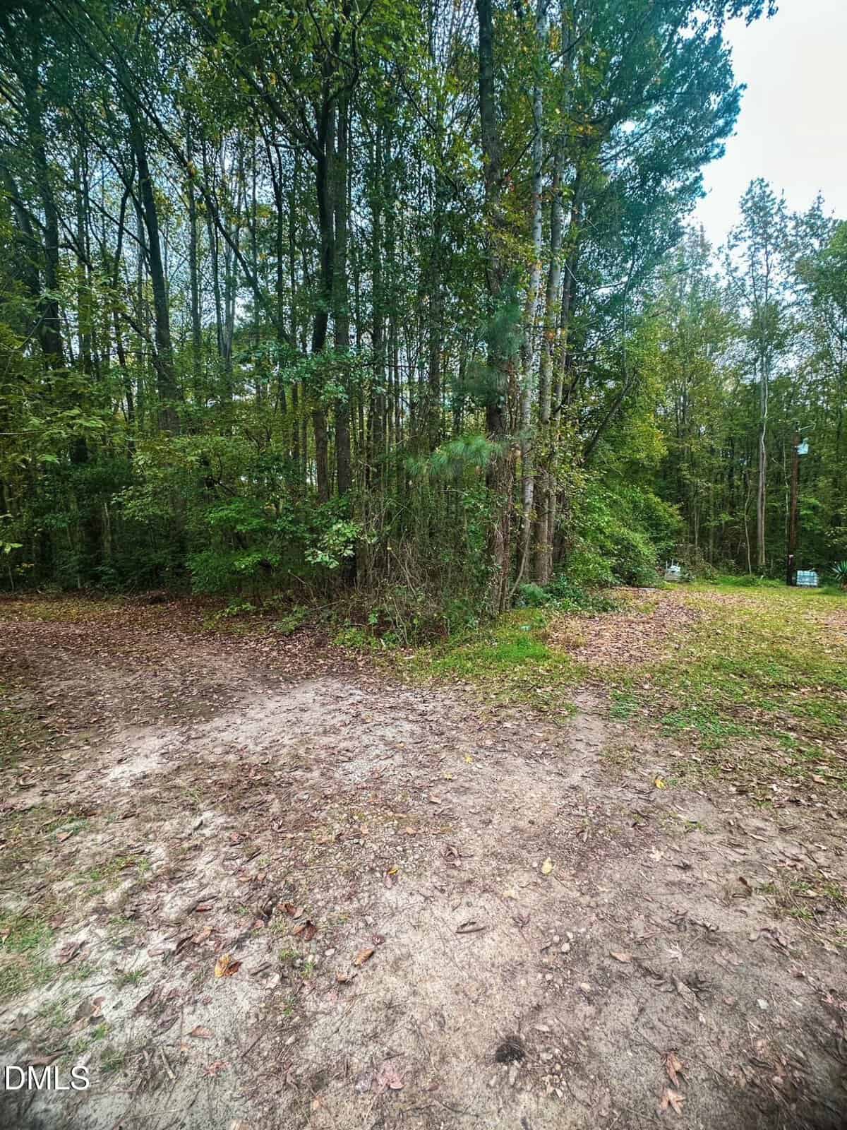 A dirt clearing in a wooded area with tall trees and green foliage. Scattered leaves cover the ground. Faded paths split off, and two small signs are visible in the background near the trees.