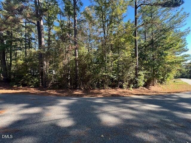 A paved road borders a dense forest of tall pine trees under a clear blue sky at 162 Eagle Drive, Louisburg. Sunlight filters through the branches, casting shadows on the pavement.