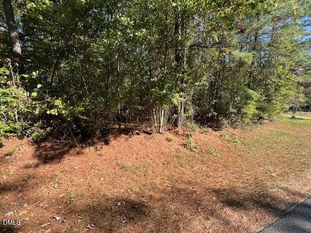 A patch of forested land with dense green trees and shrubs, bordered by a carpet of brown pine needles next to a paved road on a sunny day.