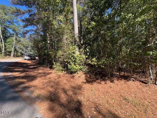 A wooded area with tall trees and dense green foliage borders a curved road on a sunny day; a white vehicle is partially visible parked along the roadside in the background.