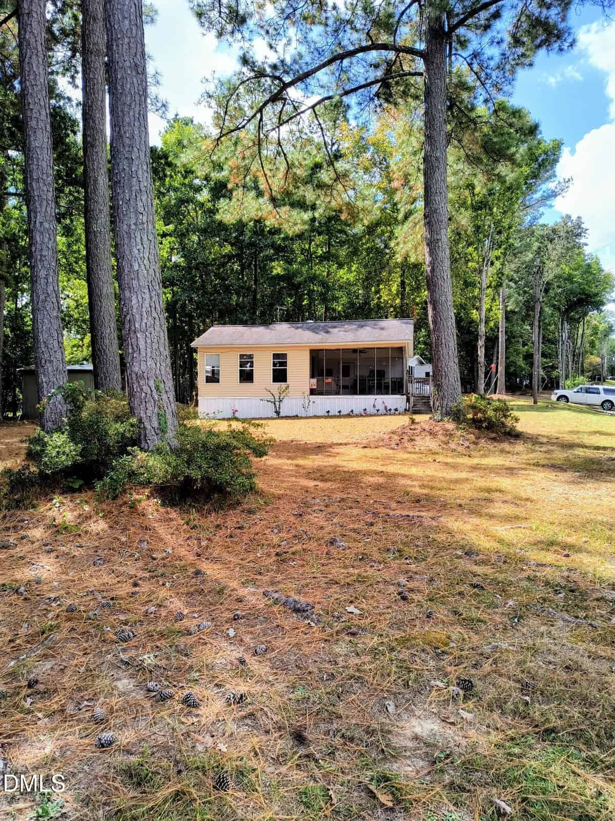 A small, light-colored cabin with a screened porch stands among tall pine trees, surrounded by a grassy yard with scattered pine needles and cones. A car is partially visible to the right, with forest in the background.