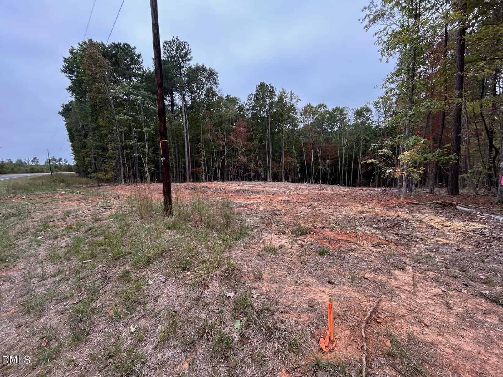 Cleared plot of land near a forested area, with a telephone pole on the left, some orange survey markers on the ground, sparse grass, and trees in the background under an overcast sky.