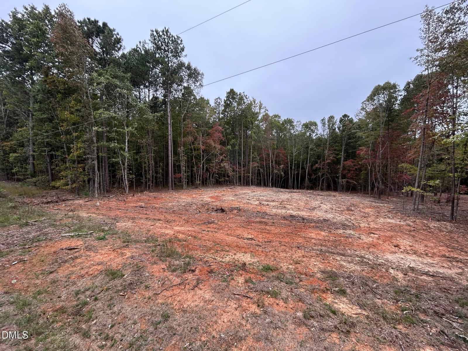 A cleared, reddish dirt lot sits in front of a dense tree line with tall green and some reddish trees under an overcast sky. Power lines are visible overhead.