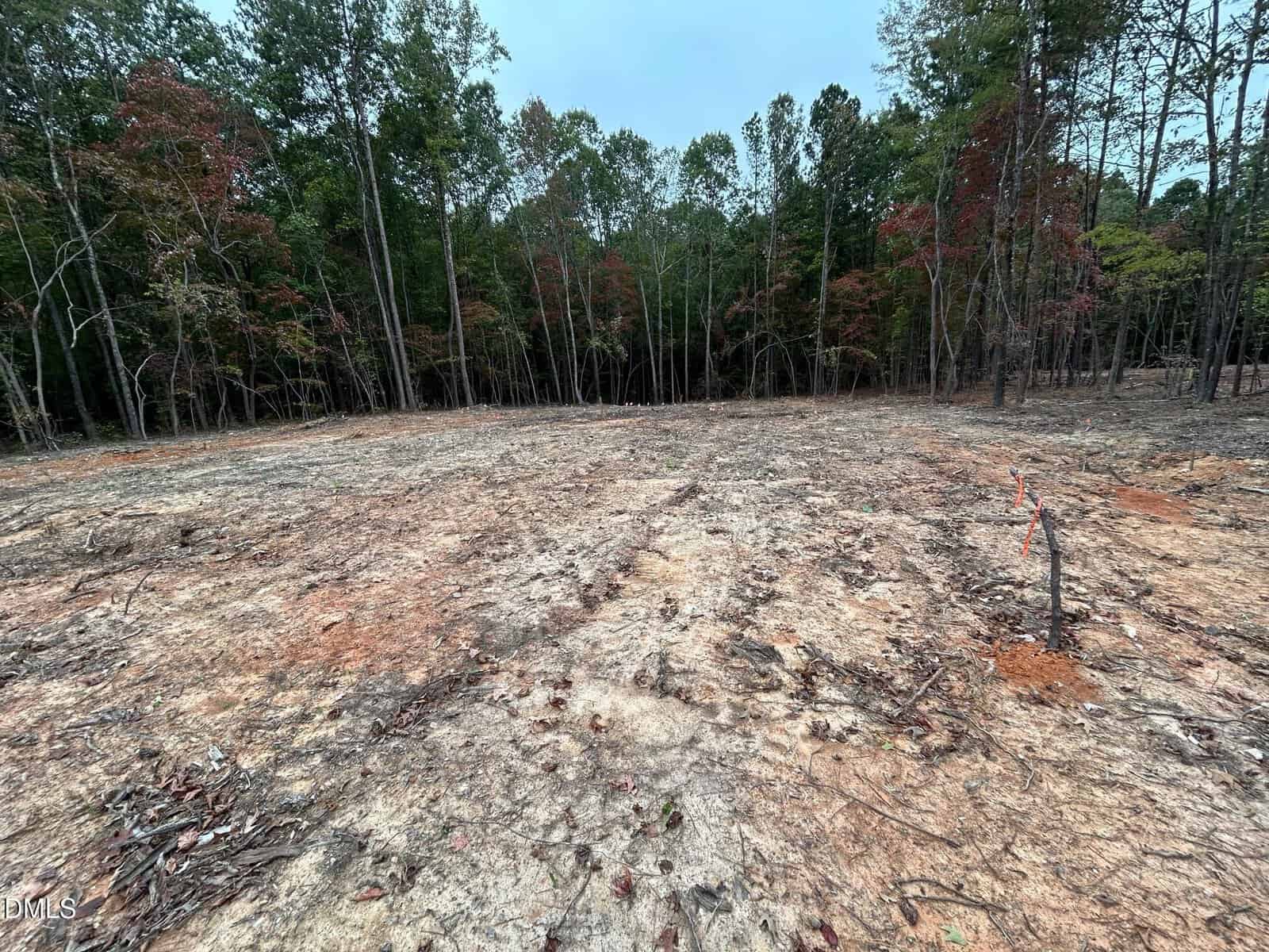 A cleared patch of land with sparse grass and scattered soil, bordered by dense trees in the background. Some small branches and a marked stake with orange ribbon are visible in the foreground.