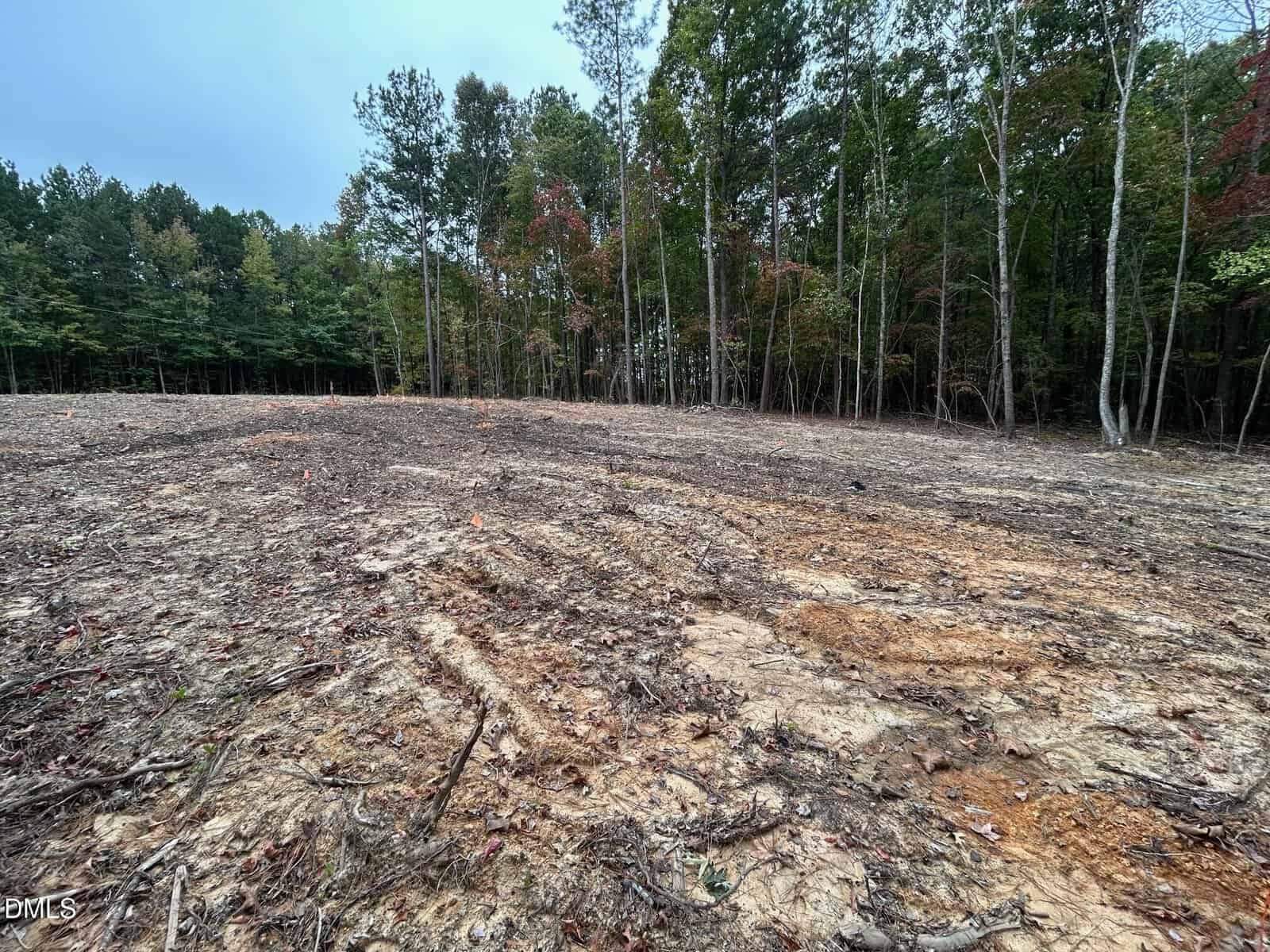 A cleared, uneven plot of land with exposed soil and scattered debris in the foreground, bordered by tall trees and dense forest in the background under an overcast sky.