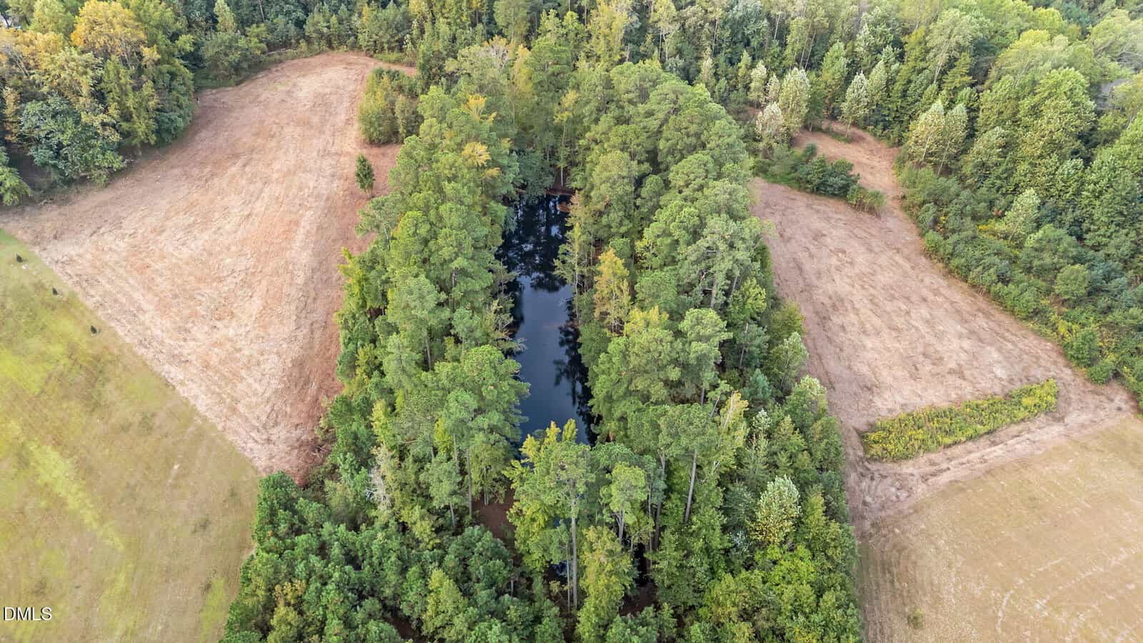 Aerial view of a small pond surrounded by dense trees, bordered by cleared grassy areas and forest, in a rural landscape.