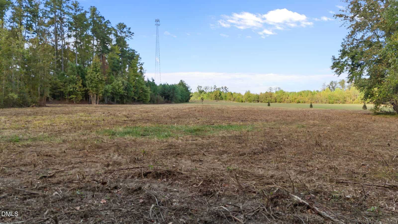 A cleared, grassy field bordered by dense trees on the left and in the background, with a tall cell tower visible among the trees under a blue sky with scattered clouds.