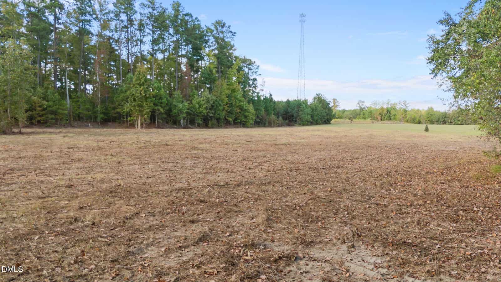A cleared, grassy field with scattered leaves, bordered by dense trees under a blue sky. A tall communications tower is visible in the distance.