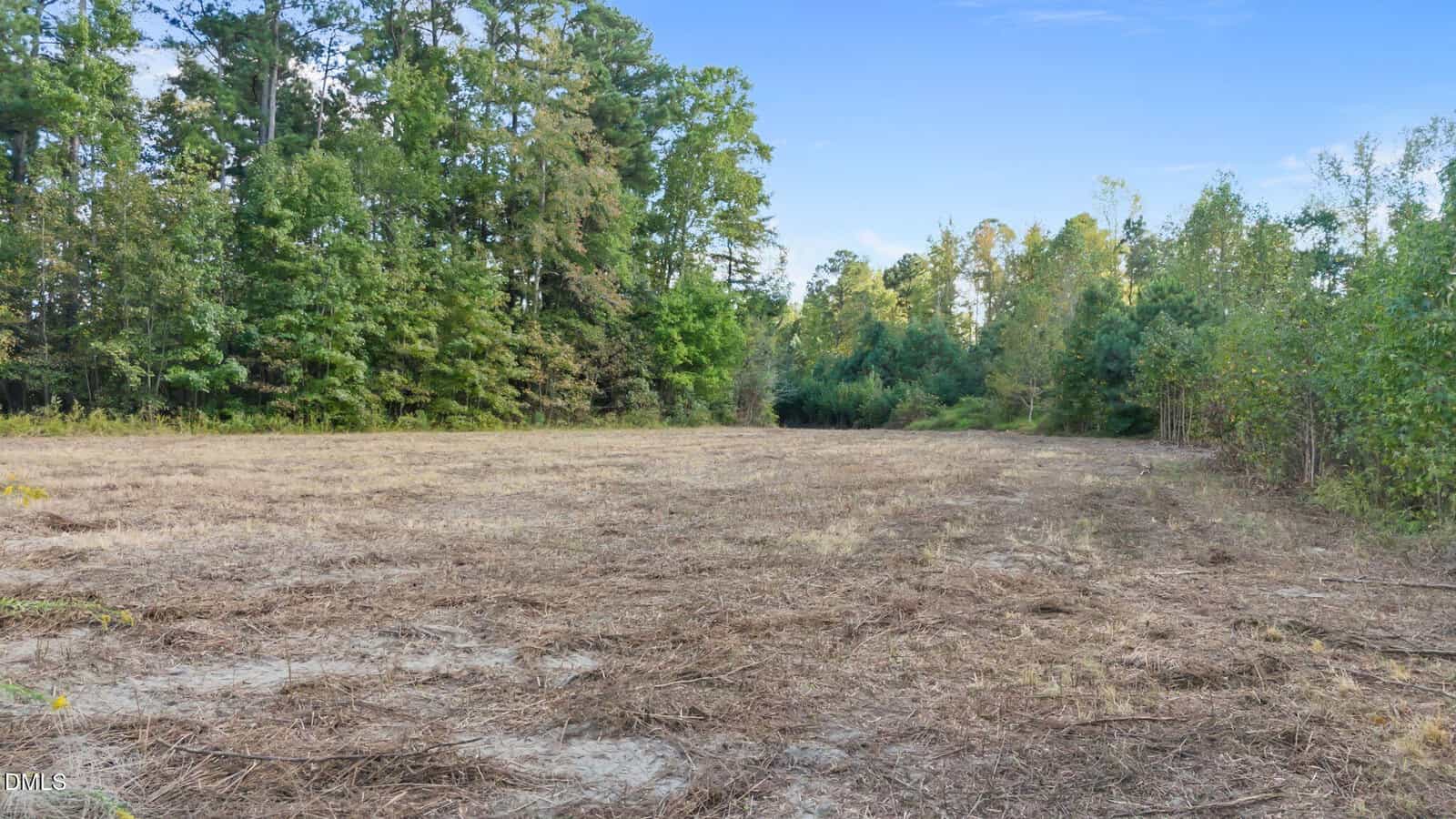 A cleared field with dry grass, surrounded by dense green trees under a clear blue sky.
