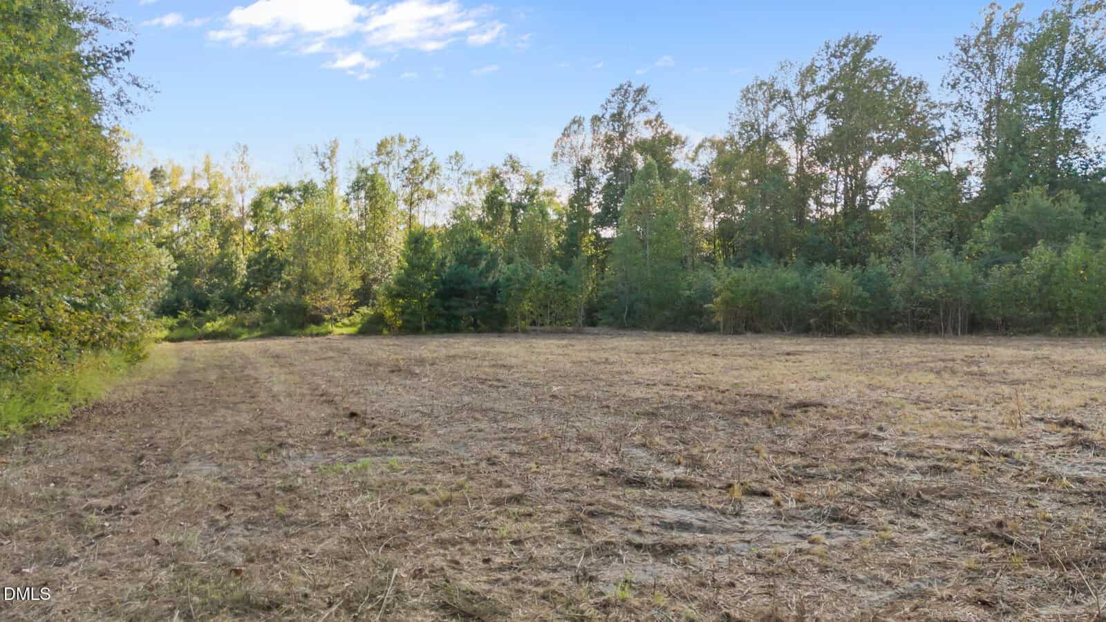 A cleared, grassy field bordered by dense green trees under a partly cloudy blue sky. The edge of the forest surrounds the open space, giving a peaceful, rural feel.