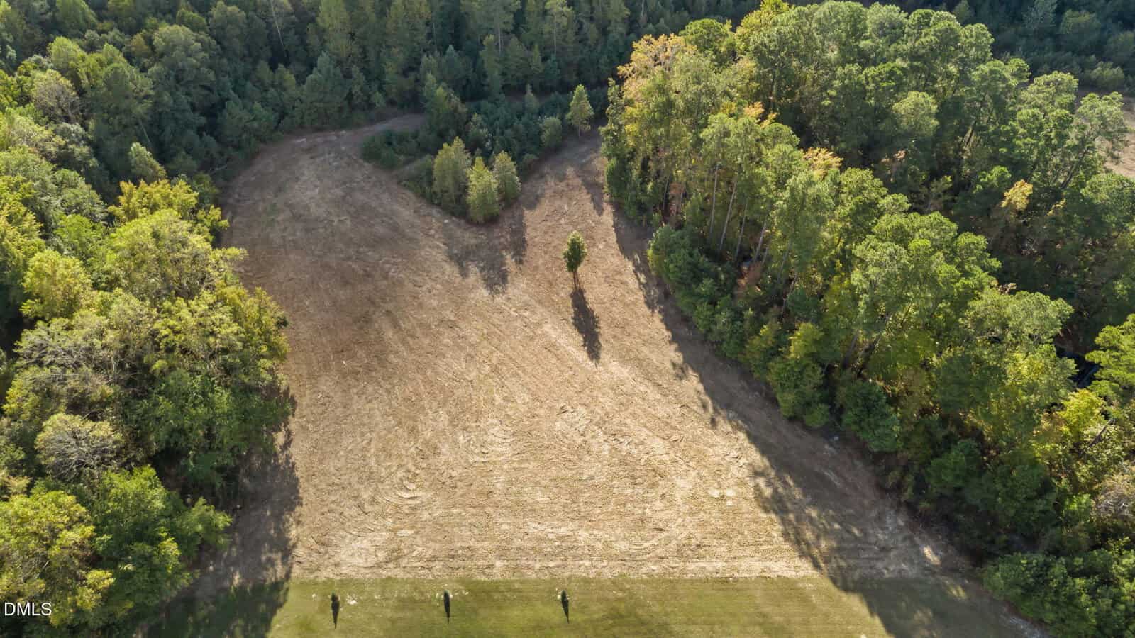 Aerial view of a heart-shaped clearing surrounded by dense green trees, with a single tree in the center and four shadowed objects along the bottom edge of the field.