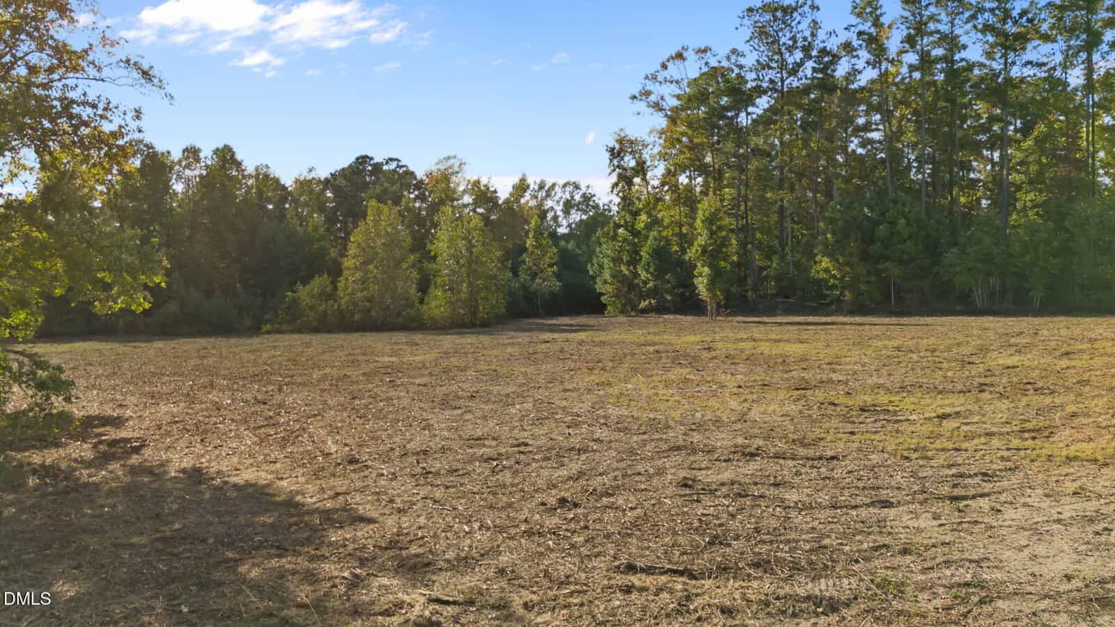 A cleared, grassy field bordered by tall trees under a blue sky with scattered clouds. Shadows from the trees stretch across the open land.