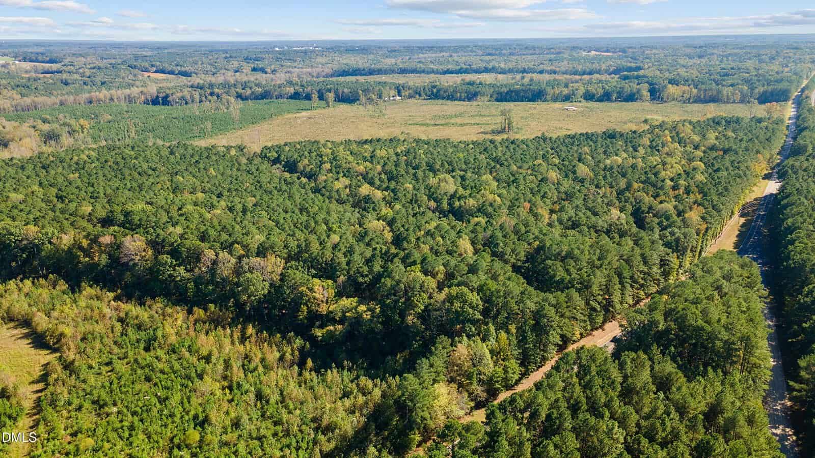Aerial view of a large, green forest with a mix of pine and deciduous trees. A narrow dirt road runs through the trees, and open fields are visible in the distance under a partly cloudy sky.
