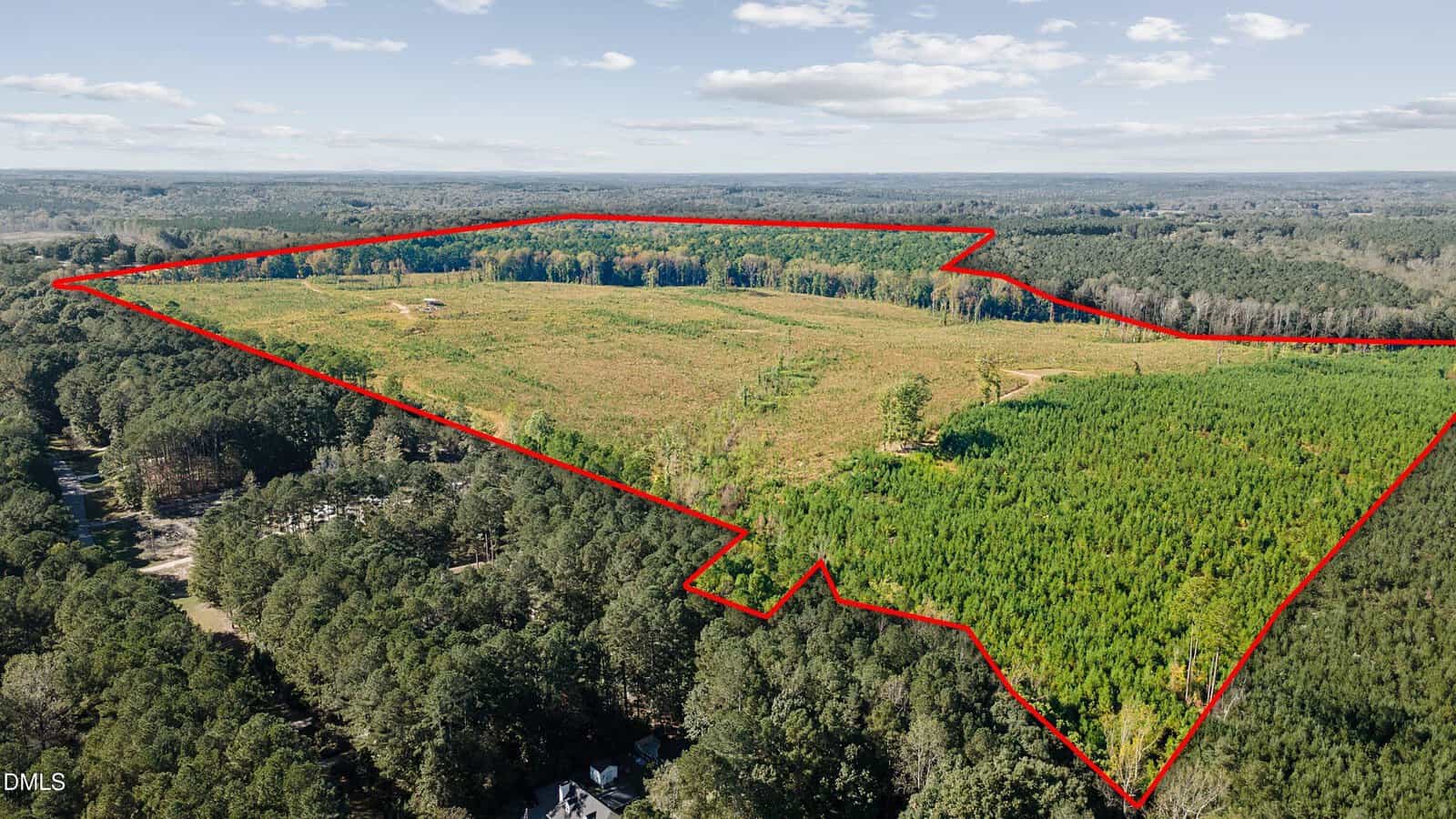 Aerial view of a large, mostly cleared plot of land outlined in red, surrounded by dense forest. Blue sky with scattered clouds is visible in the background.