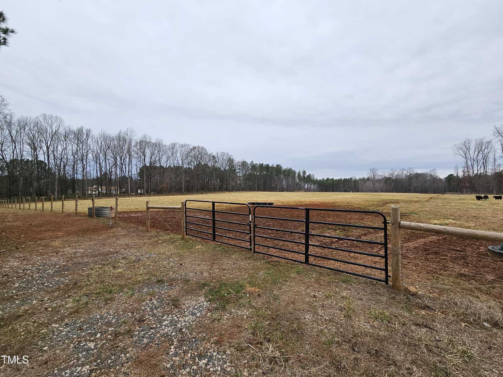 A fenced pasture with a metal gate stands in the foreground at 4173 Cannady Mill Road, bordered by bare trees on each side. Grass and exposed soil cover the ground beneath a cloudy sky, with a few cows visible in the distance.