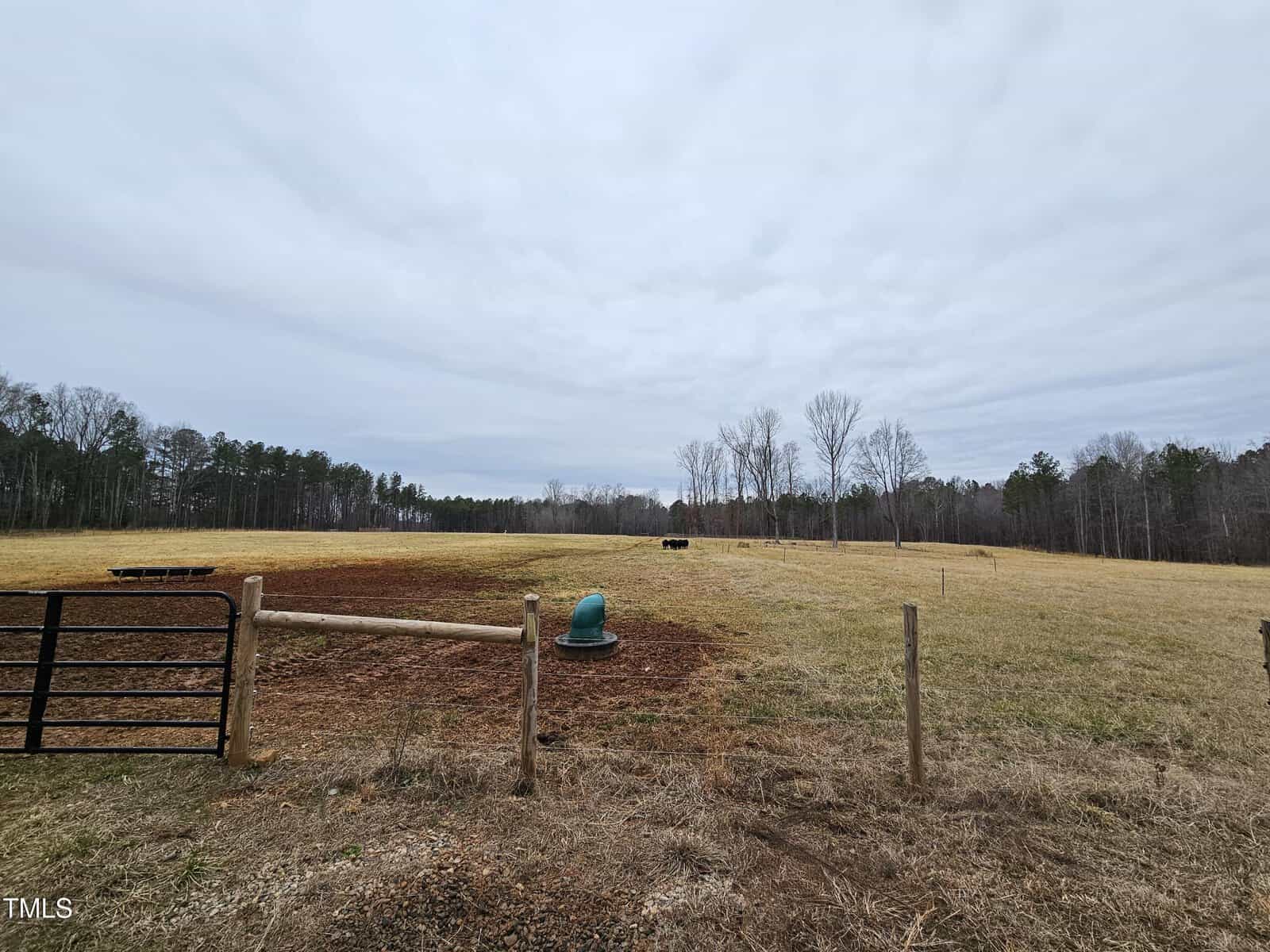 A fenced pasture with a patch of bare soil, a green water trough, and scattered trees in the distance under a cloudy sky. A black cow stands near the center right of the field.