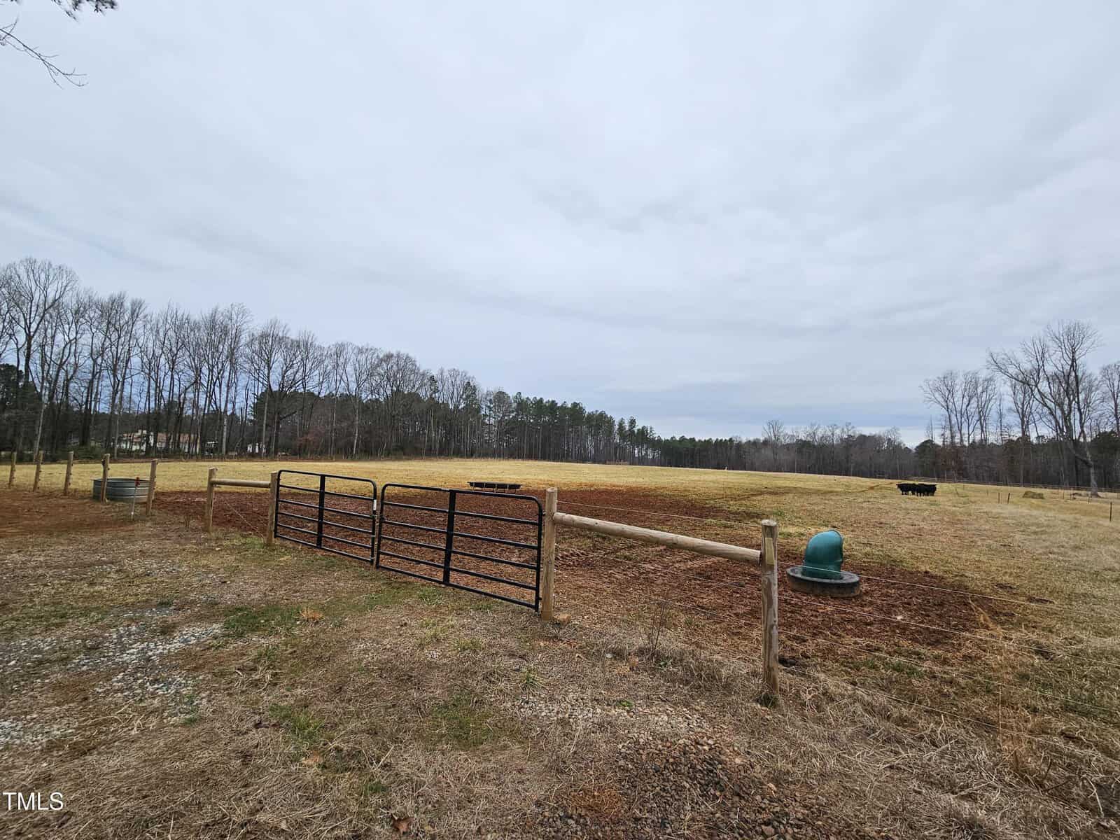 A fenced field with a metal gate in the foreground, patchy brown and yellow grass, a green water trough, and bare trees along the horizon under a cloudy sky.