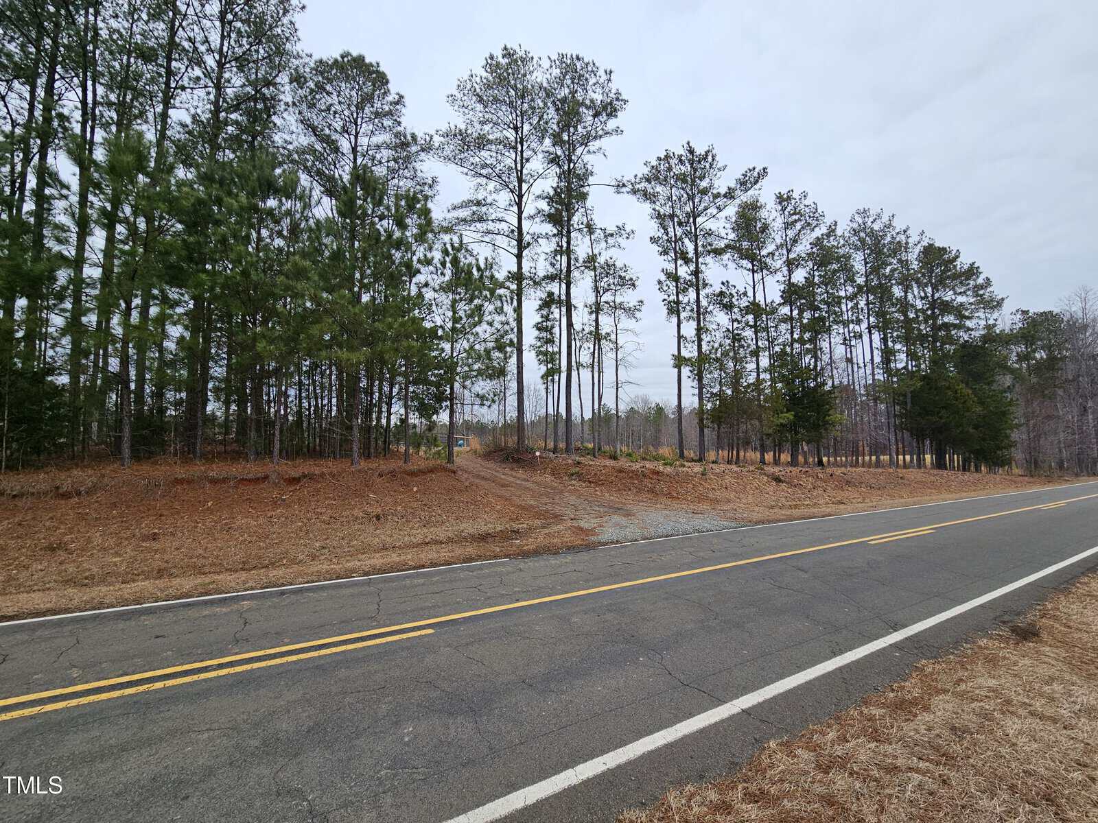 A paved two-lane road passes in front of a wooded area with tall pine trees. The sky is overcast, and there is a narrow gravel entrance leading into the trees from the road.