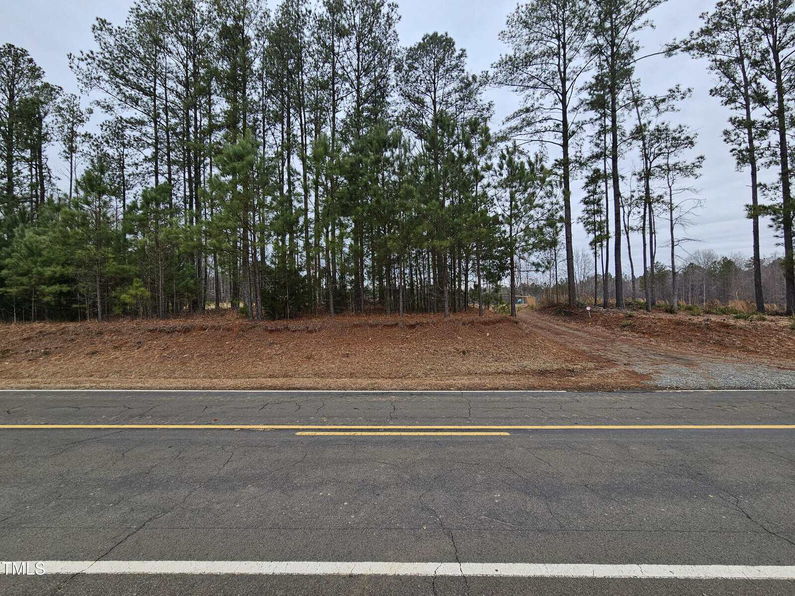 A paved road with yellow lines runs in front of a wooded area with tall pine trees and scattered underbrush. The sky is overcast, and there is a dirt path leading into the trees on the right side.