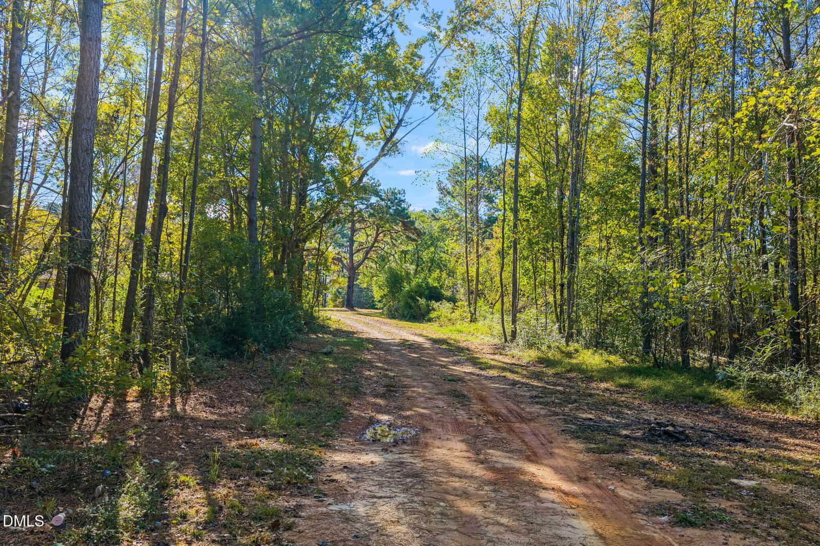 A dirt path runs through a sunlit forest with tall green trees on both sides, reminiscent of the tranquil scenery along 0 Perdues Road in Louisburg. The path appears uneven, with patches of grass and sunlight filtering through the foliage overhead.