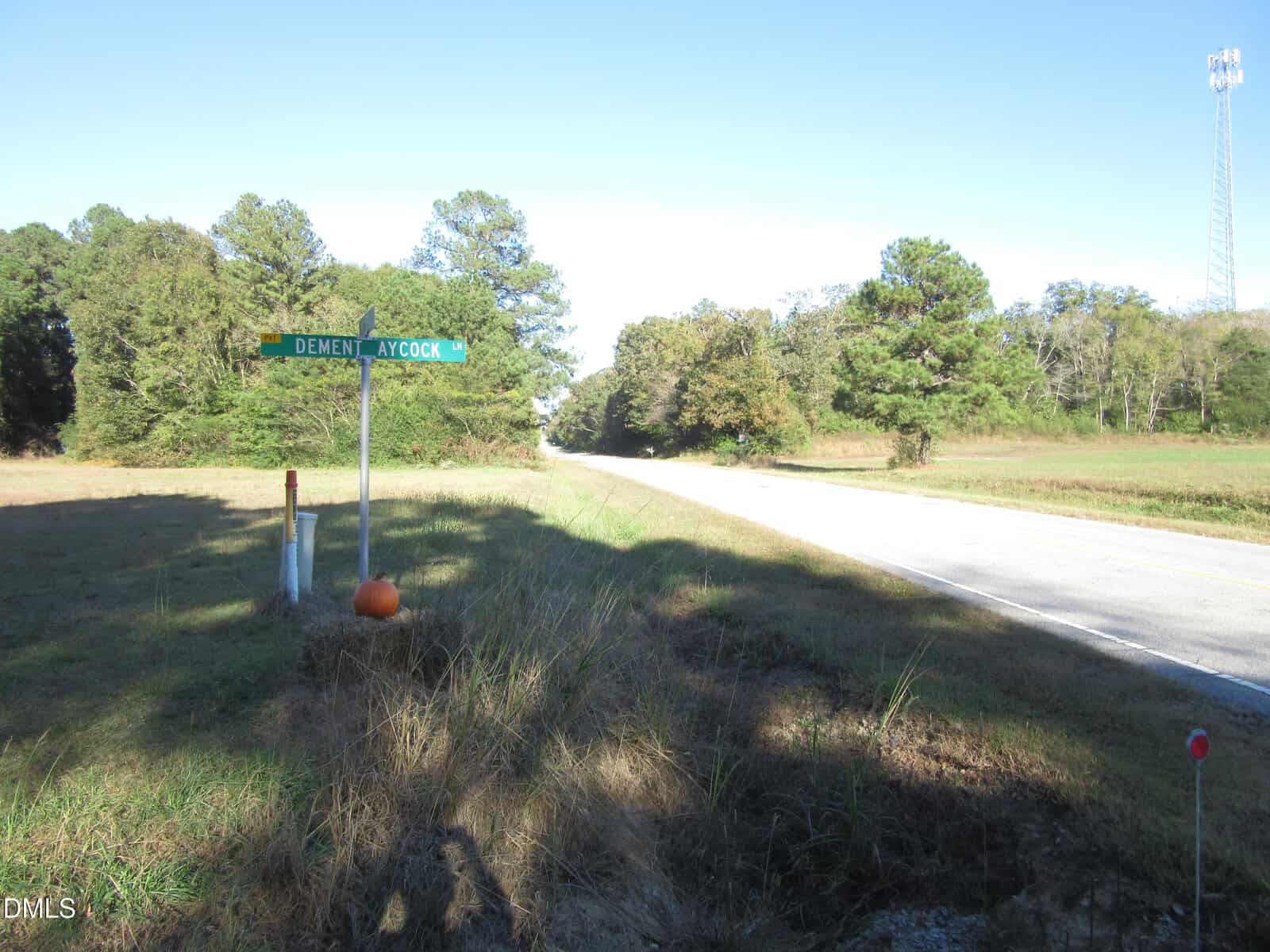 A rural roadside scene shows a street sign at the intersection of Dement and Aycock, with trees, grass, a pumpkin at the base of the sign, and a two-lane road stretching into the distance.