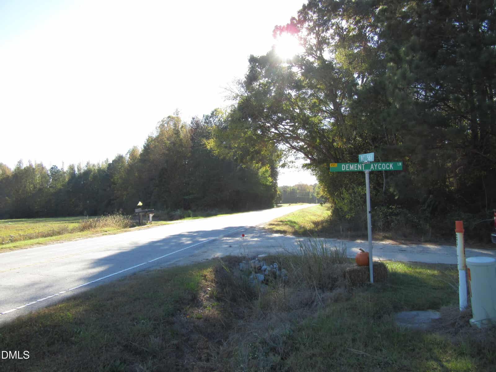 A rural road curves past a street sign reading "DEMENT AYOCOCK" at an intersection, bordered by grassy areas, trees, and a mailbox. The sun shines through the trees, casting long shadows on the scene.
