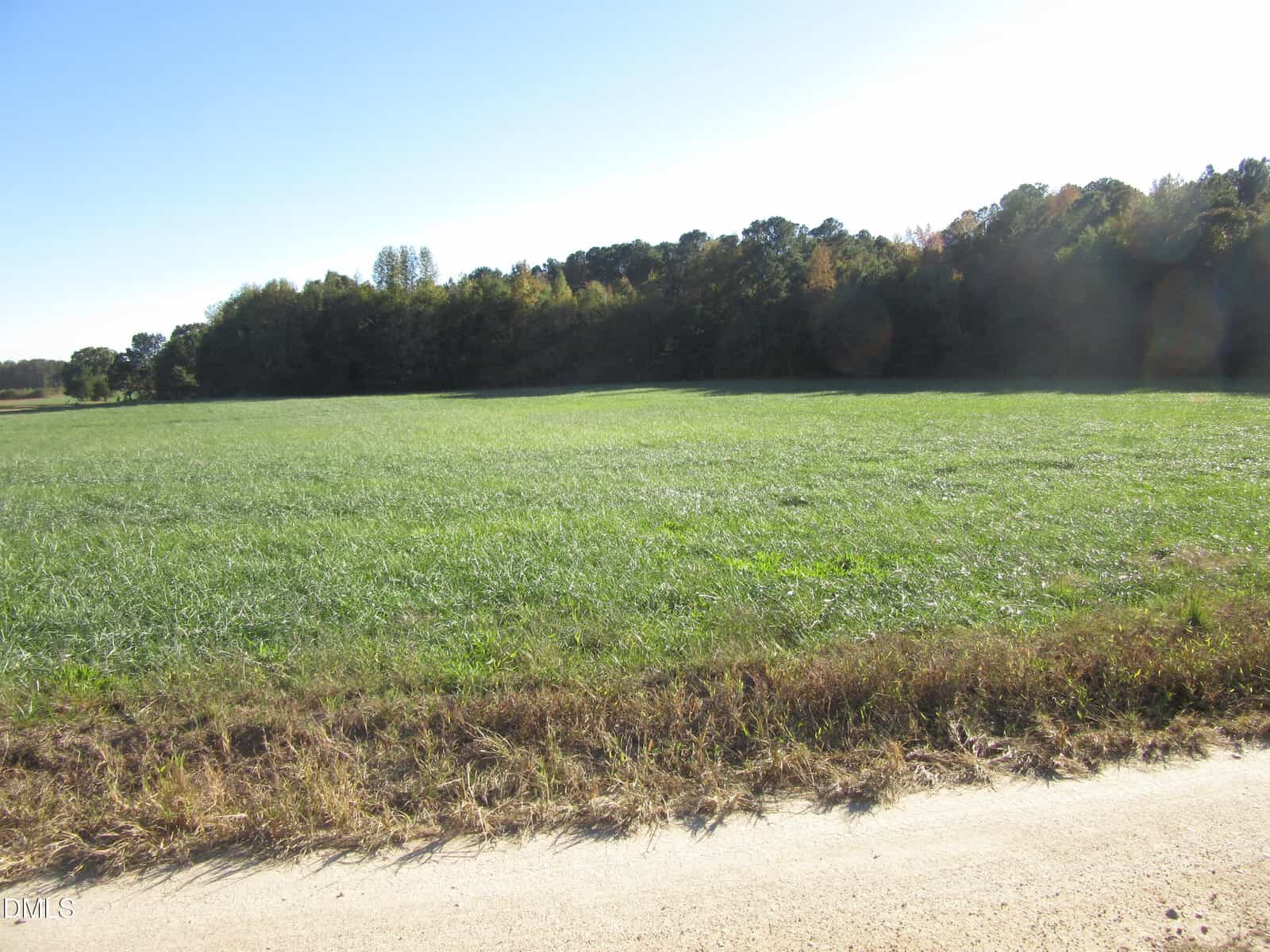 A grassy field with a dirt road in the foreground and a line of trees in the background under a clear blue sky.