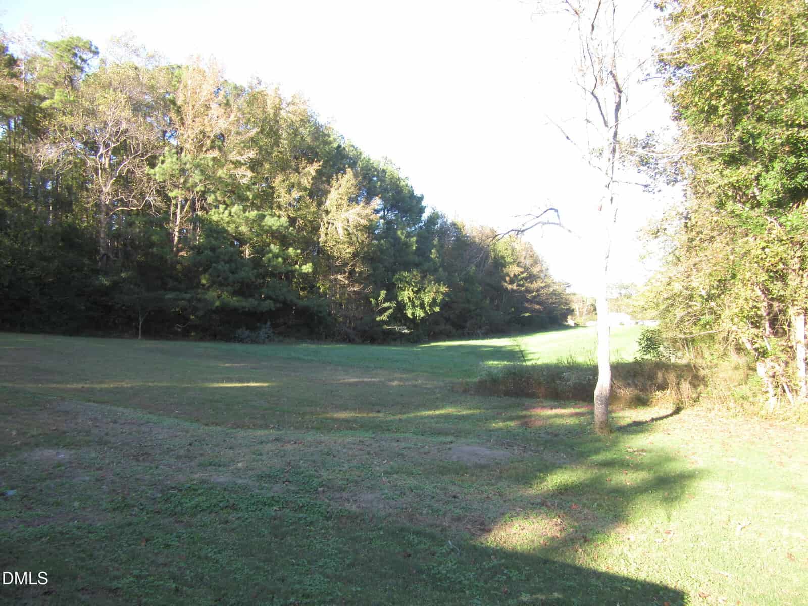 A grassy open field bordered by dense trees, with sunlight casting shadows on the ground. The sky is clear, and the landscape is mostly flat with some gentle slopes.