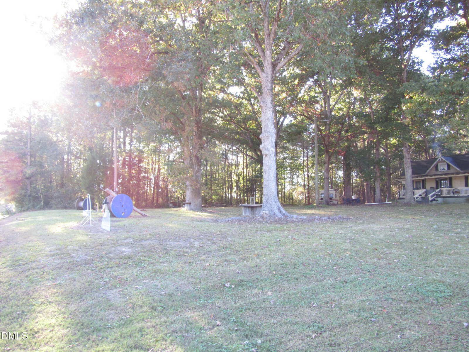 A sunlit yard with a large tree, scattered leaves, a picnic table, and a blue circular object; wooded area and a house with a porch are visible in the background.