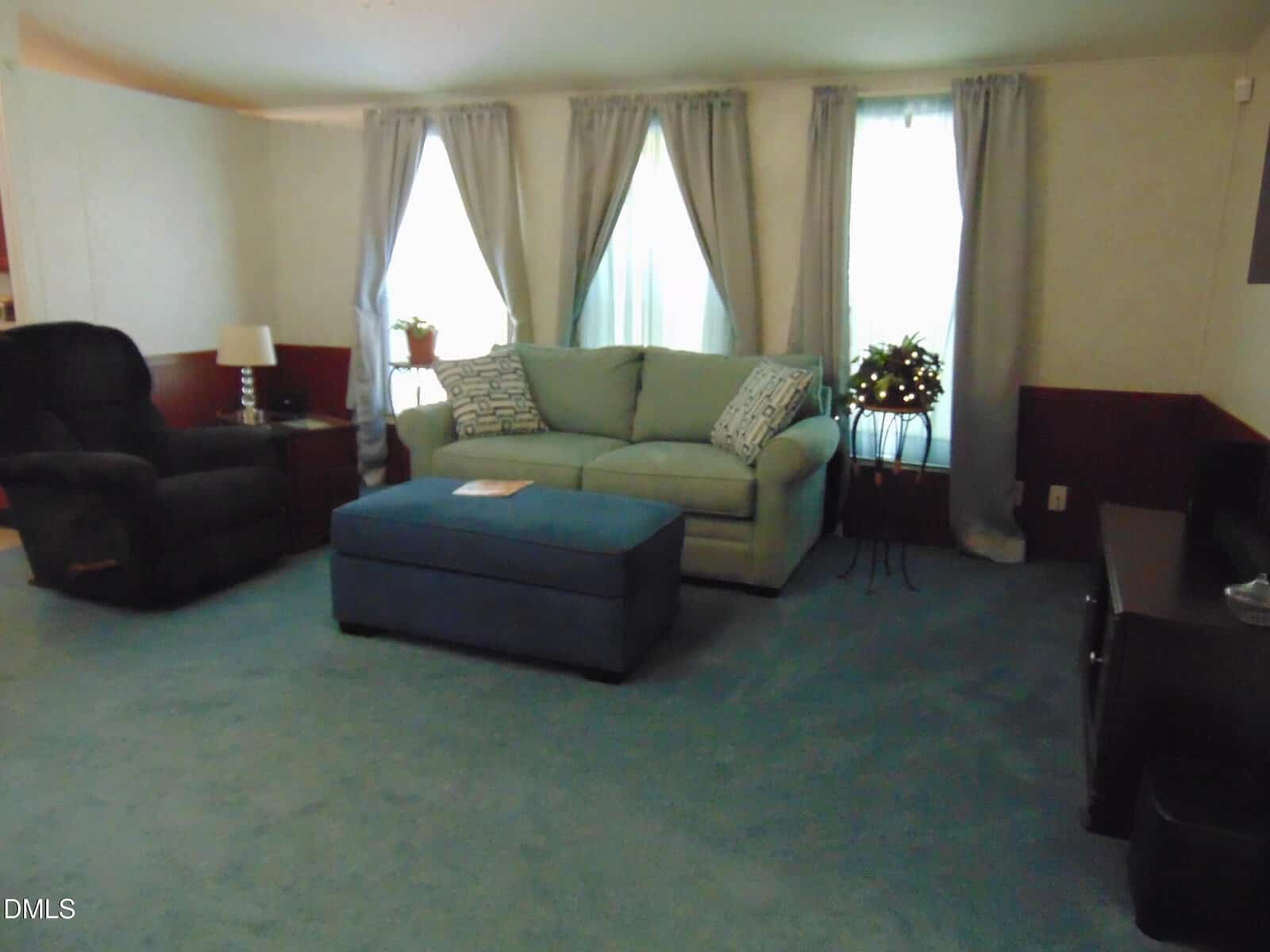 Living room with a blue carpet, light-colored sofa, blue ottoman, dark recliner, two windows with gray curtains, small side table with a lamp, potted plants, and a TV stand on the right.