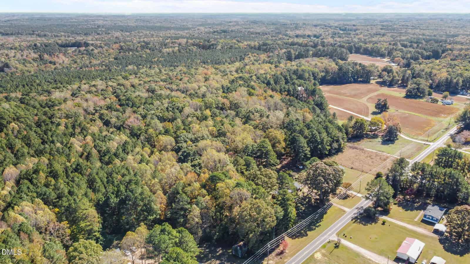 Aerial view of a rural landscape featuring dense green forests, open fields, scattered houses, and a road running through the foreground under a partly cloudy sky.