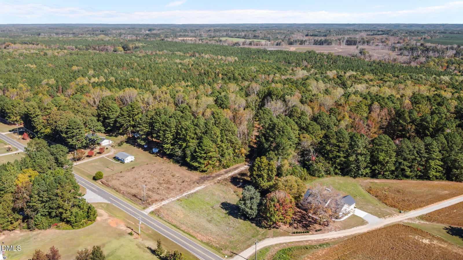 Aerial view of a rural area with a road running through wooded land and open fields; a few houses are visible among trees, surrounded by dense forest extending to the horizon.