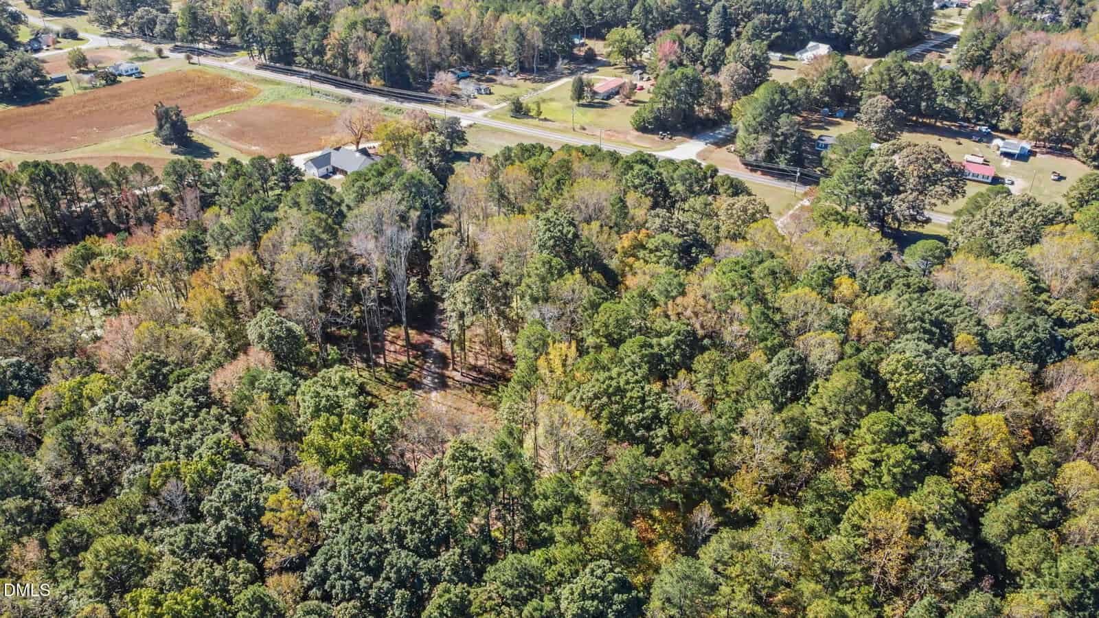 Aerial view of a forested area with dense trees, bordered by a road and scattered houses. Some autumn colors are visible among the green foliage.